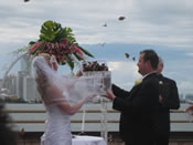 Sunset wedding butterfly release in Miami, FL