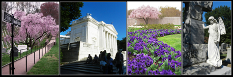 Funeral Butterfly photos at Arlington National Cemetery