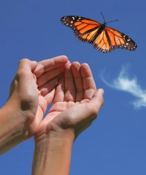 Monarch Butterfly release in Detroit Michigan