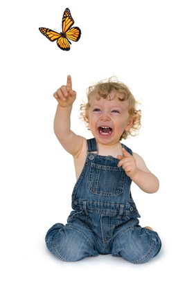 A toddler points to a released monarch butterfly in Charleston South Carolina
