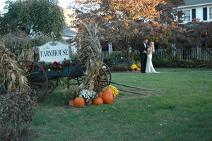 Include a carriage ride to make your wedding truely special.