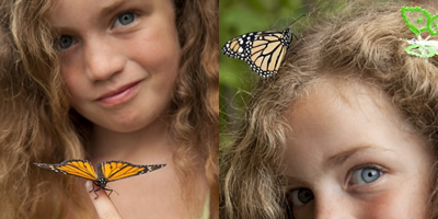 A butterfly release in NewMexico.