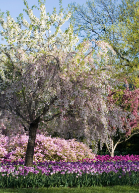 Rhode Island spring