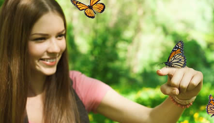 wyoming butterfly release